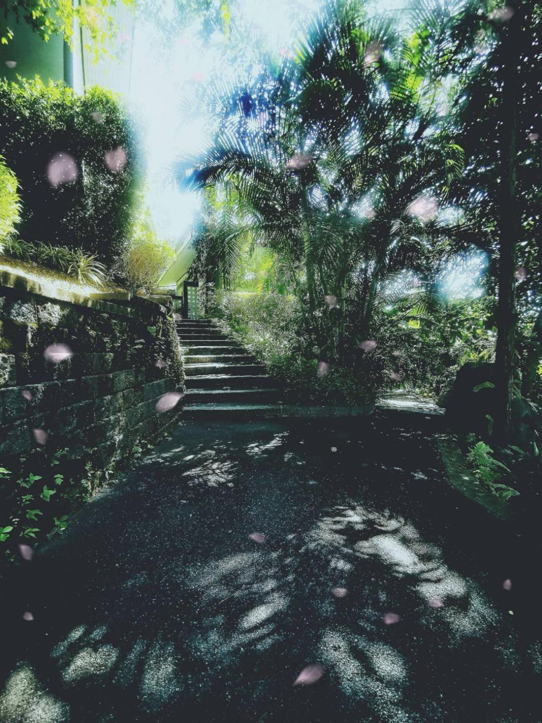 Bangnu Greenery Resort Takua Thung Buitenkant foto