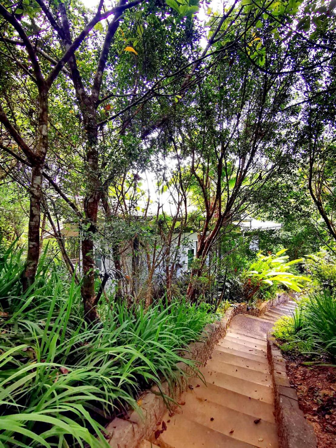 Bangnu Greenery Resort Takua Thung Buitenkant foto