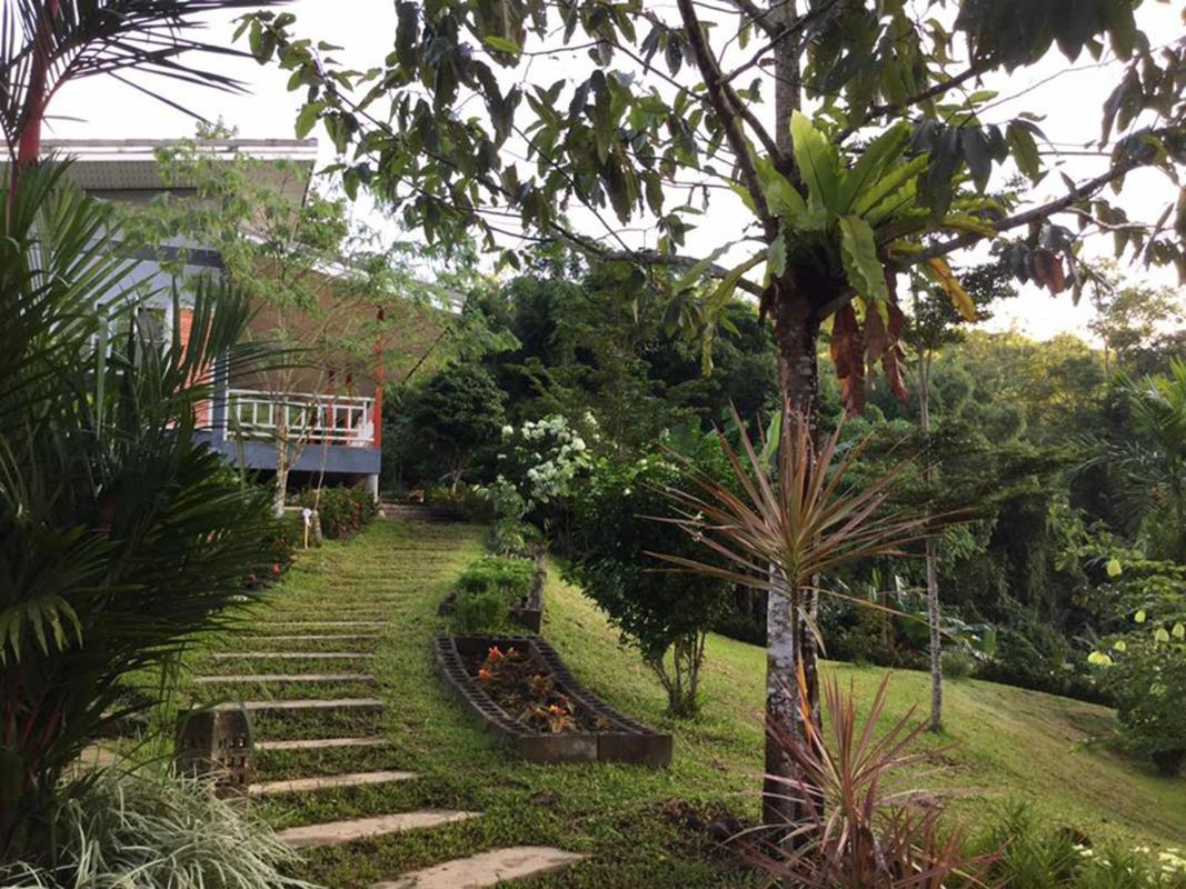 Bangnu Greenery Resort Takua Thung Buitenkant foto