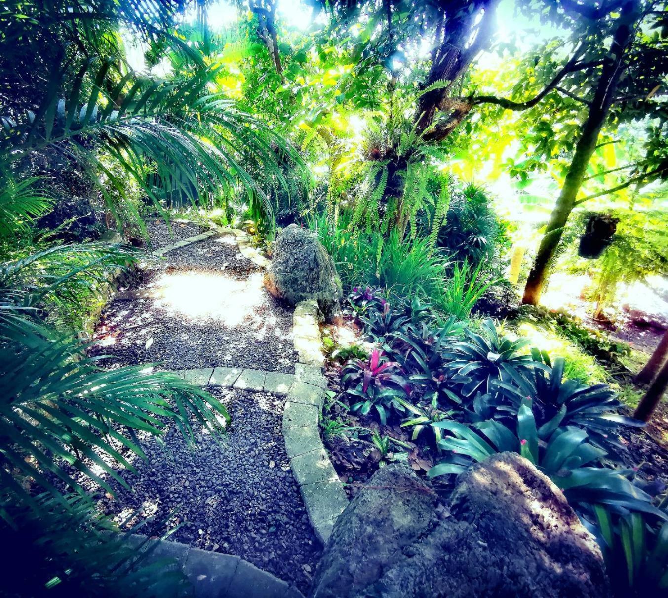 Bangnu Greenery Resort Takua Thung Buitenkant foto