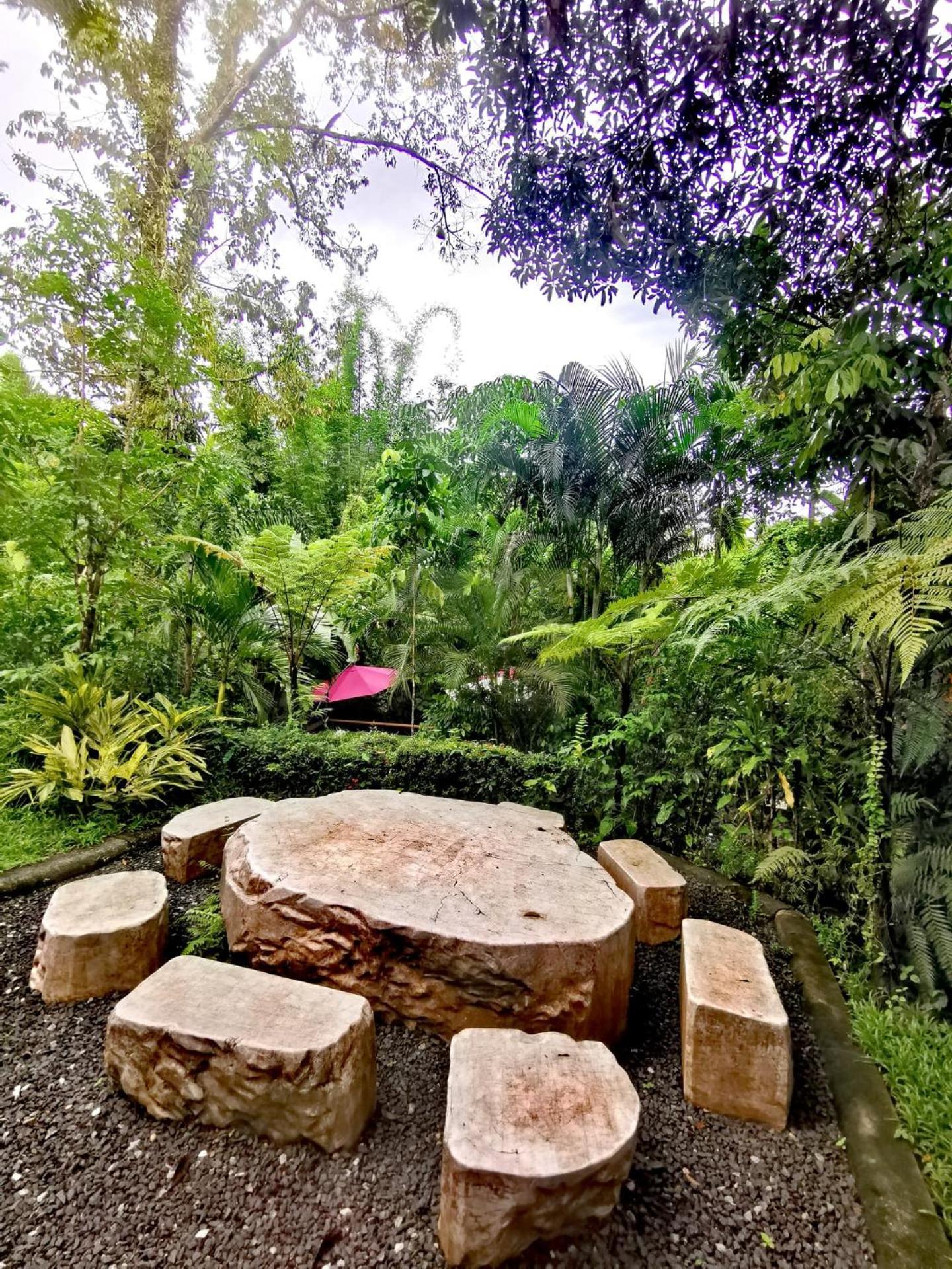 Bangnu Greenery Resort Takua Thung Buitenkant foto